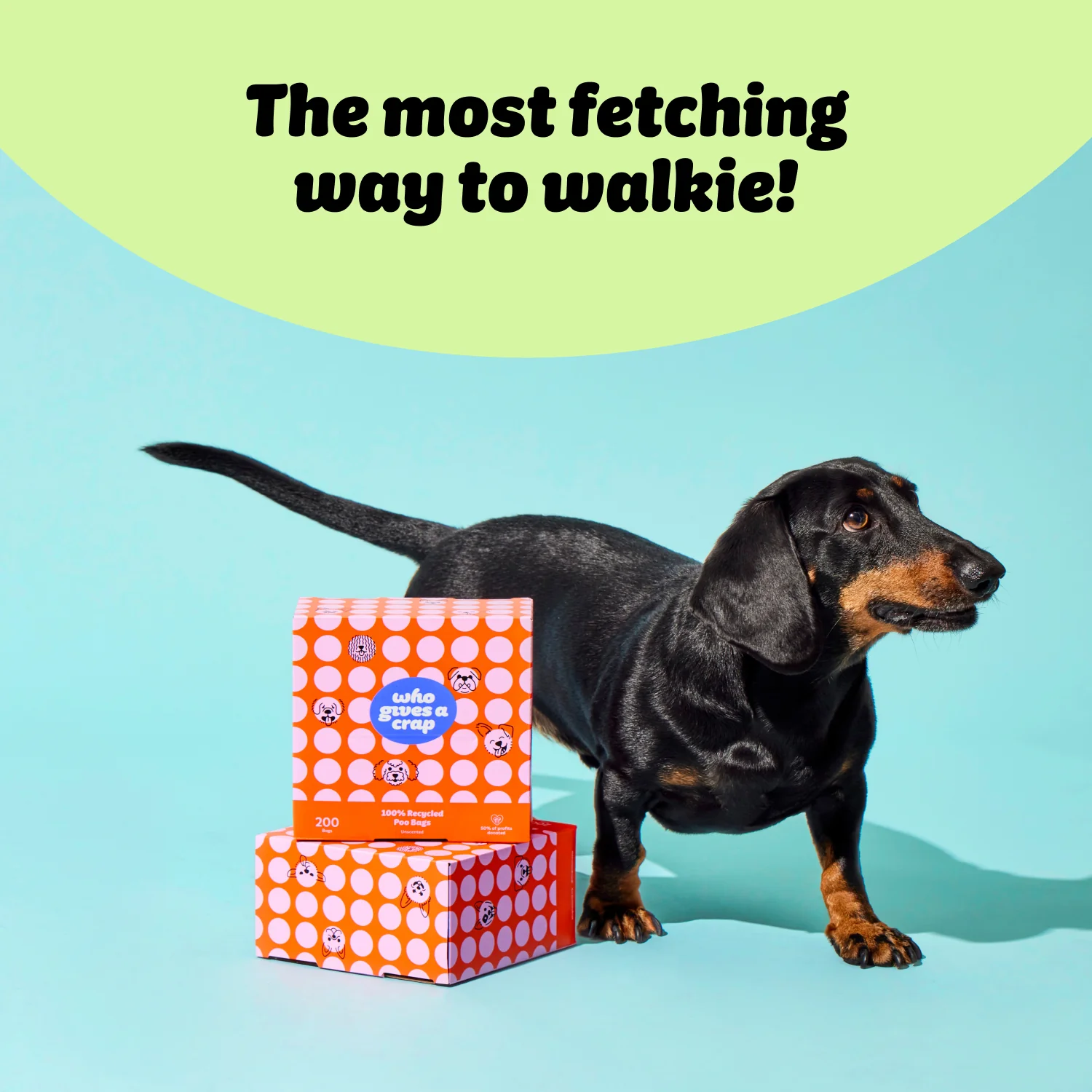 100% Recycled Dog Poo Bags - Image 6